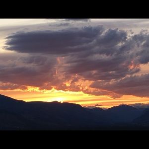 Meet your Posher, Penny